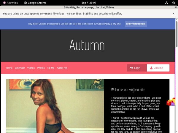 BittyKitty Free Accounts BittyKitty Free Accounts