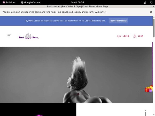 Black-hornis.net Mobile Pass