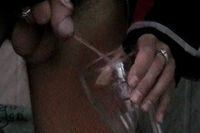 Boyspissing gay porn stars Boyspissing gay porn stars