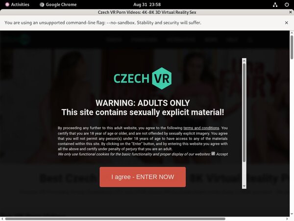 Czech VR Videos Free