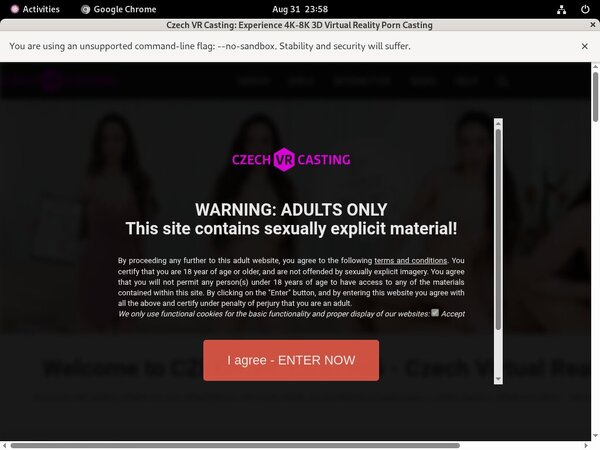 Czechvrcasting Passcode