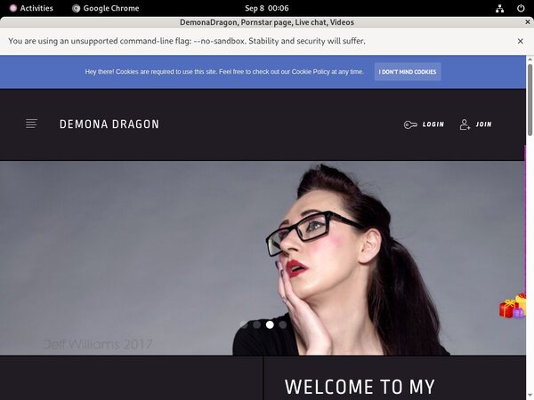DemonaDragon Paypal Payment