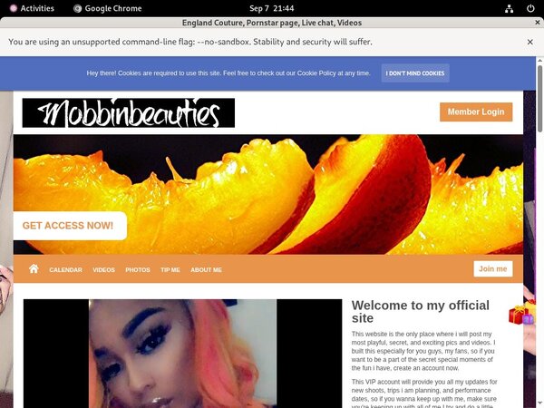 Englandcouture.modelcentro.com App Englandcouture.modelcentro.com App