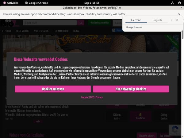 Free 3X Online Premium Acc