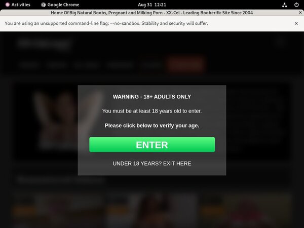 Free Logins For Xx-cel.com Free Logins For Xx-cel.com