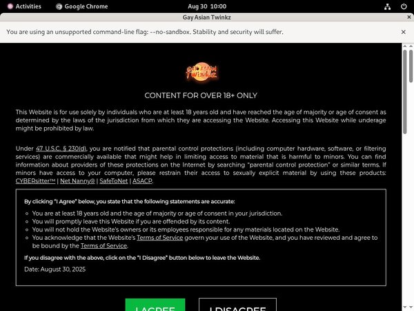 Gayasiantwinkz.com Discount Review