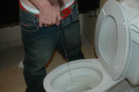 Get Boys Pissing Free Trial s1