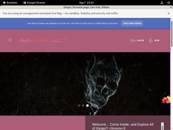 Ginger Discount Offer 2018 Ginger Discount Offer 2018