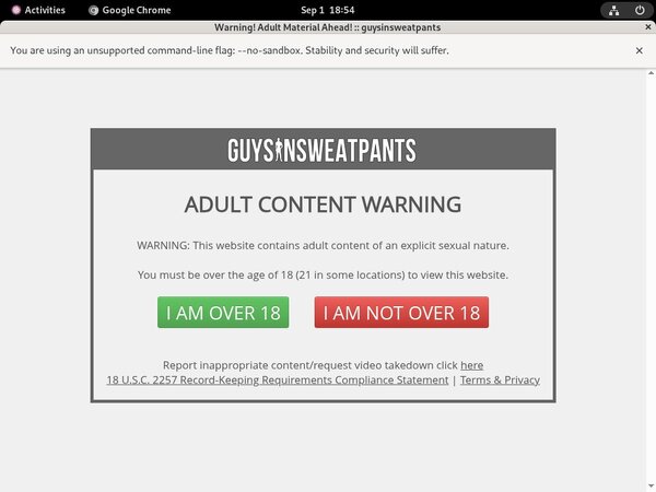 Guysinsweatpants Pricing