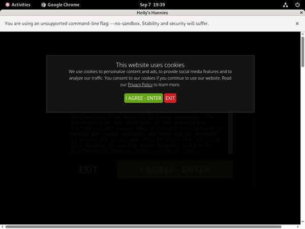 Hollyshunnies Accounts And Passwords Hollyshunnies Accounts And Passwords