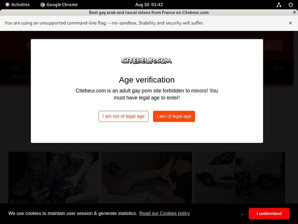 How To Get Citebeur.com For Free