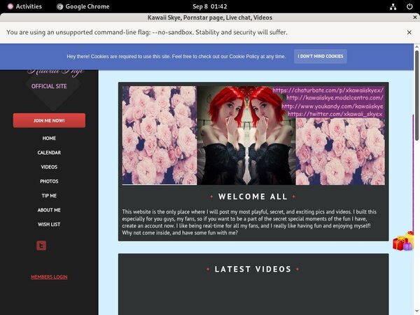 KawaiiSkye Paypal Sign Up