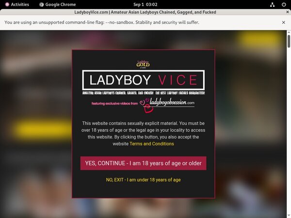 Ladyboy Vice Promo Link