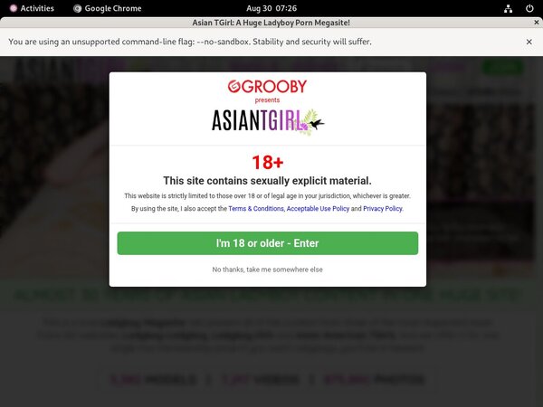 Ladyboy-ladyboy.com Porn Pictures