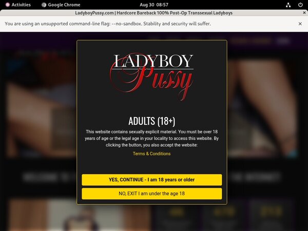 Ladyboypussy.com Id