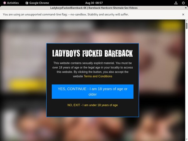Ladyboysfuckedbareback.com Account Premium