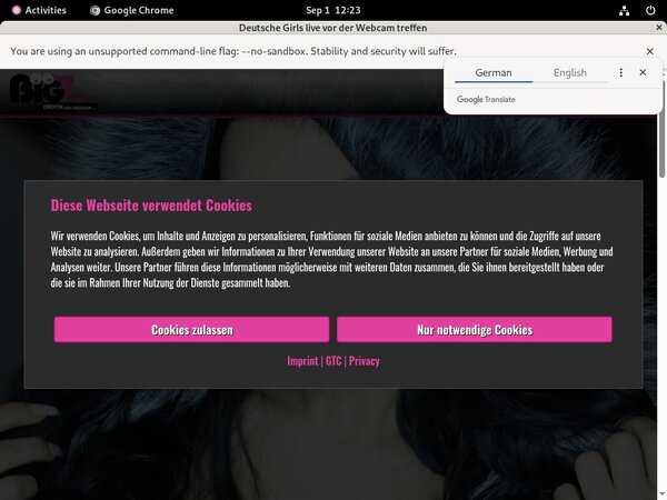 Lana Giselle Password Dump
