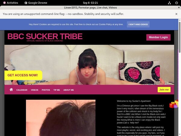 Linxer2013.modelcentro.com Payment Form Linxer2013.modelcentro.com Payment Form