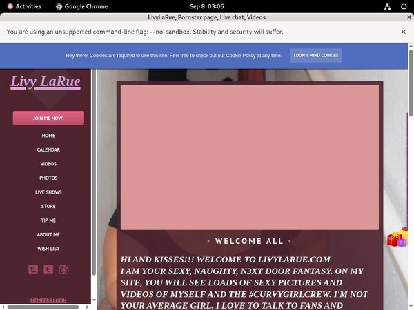 Logins For LivyLaRue