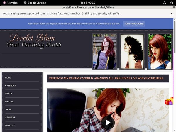 LoreleiBlum Login Details LoreleiBlum Login Details