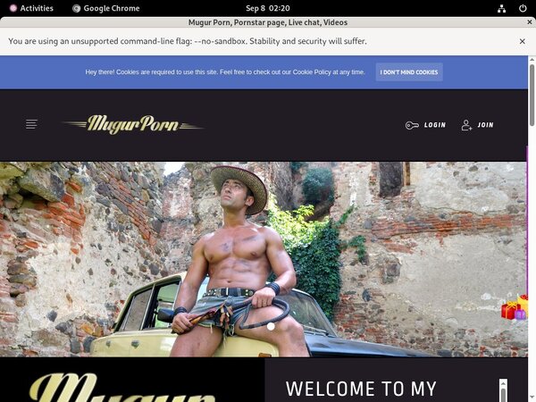 Mugur Porn Paypal Option