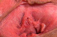 New Gape My Pussy s0