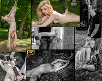 Subspace Land Free Members s0 Subspace Land Free Members s0