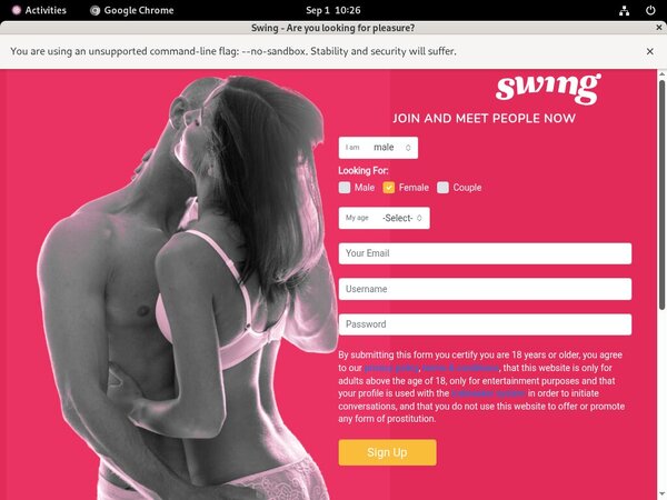 Swing.net Free Try