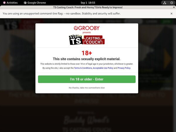 Ts-castingcouch.com Passwords Forum
