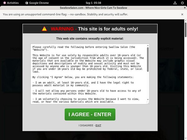 What Is Swallowsalon.com What Is Swallowsalon.com