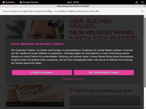 YourSecretDream Lingerie YourSecretDream Lingerie