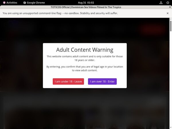 Toticos.com Free Porn