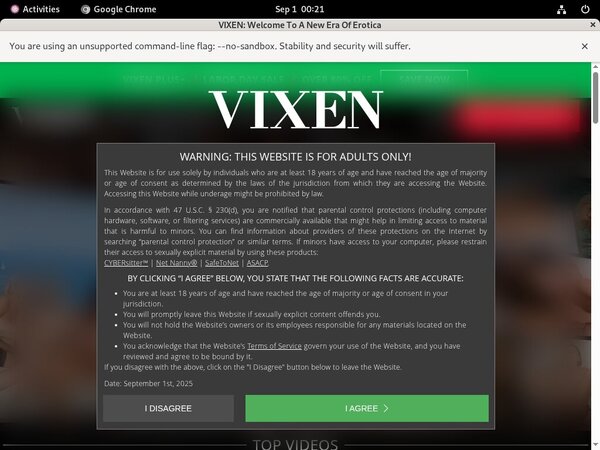 Vixen.com 2019