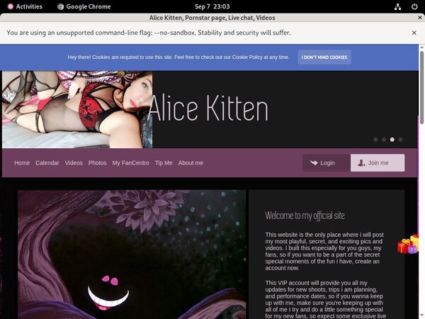 Alice Kitten Paypal Checkout