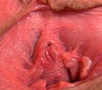 New Gape My Pussy New Gape My Pussy