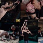 Subspace Land Video Download Subspace Land Video Download