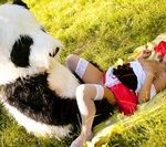 Logins Wtfpass Free Logins Wtfpass Free